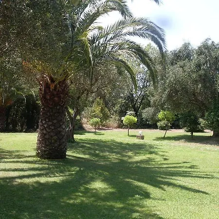 Panorama Hideaway Δασιά