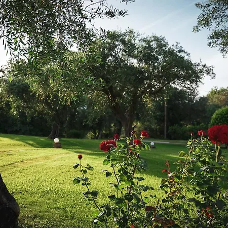 Panorama Hideaway Apart-hotel Dassia (Corfu)